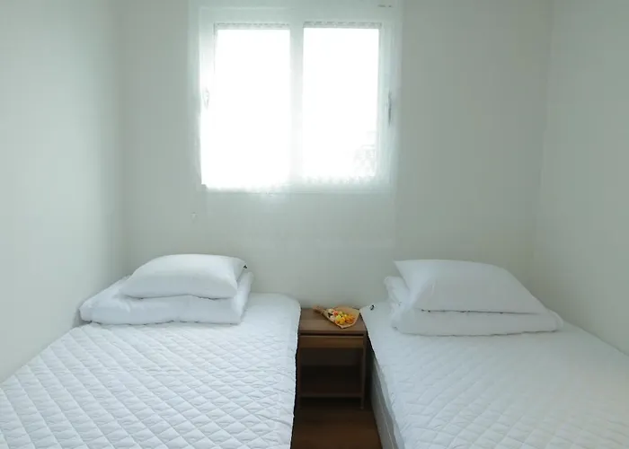 외국인 전용 여성 전용 써니하우스 * 서울특별시